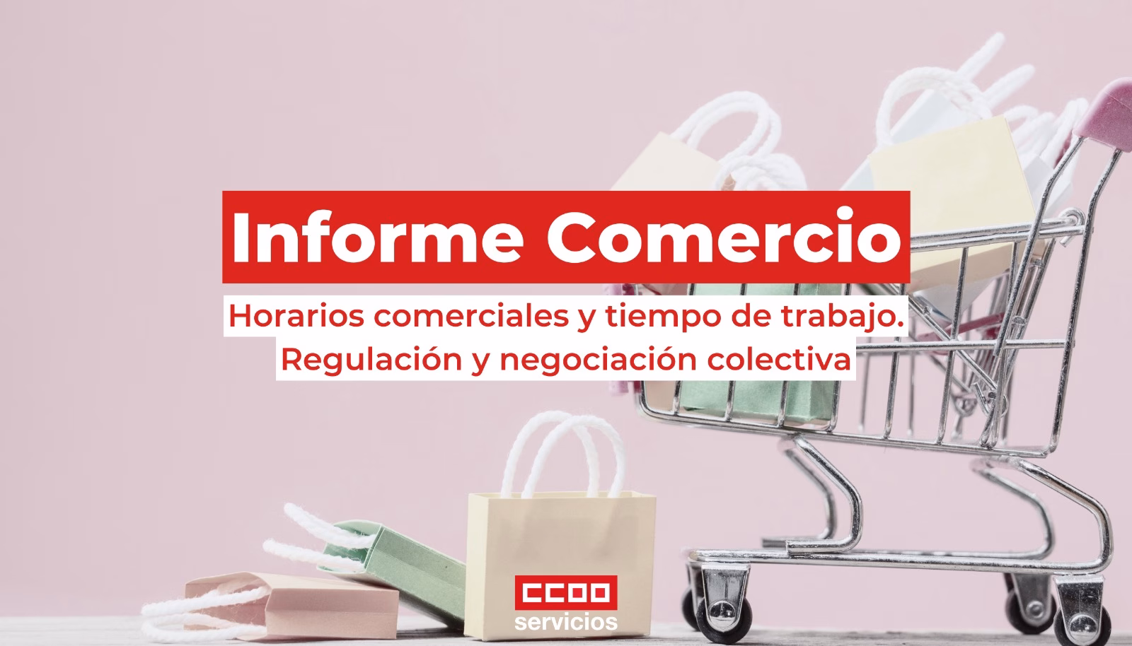 CCOO presenta sus propuestas sobre regulación de horarios comerciales, tiempo de trabajo y negociación colectiva en comercio