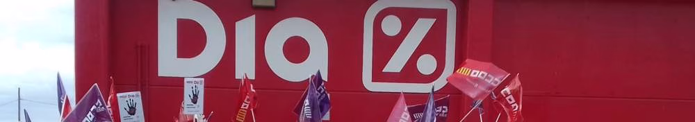 Convocatoria Plenario Constitución Sección Sindical Estatal CCOO en Día